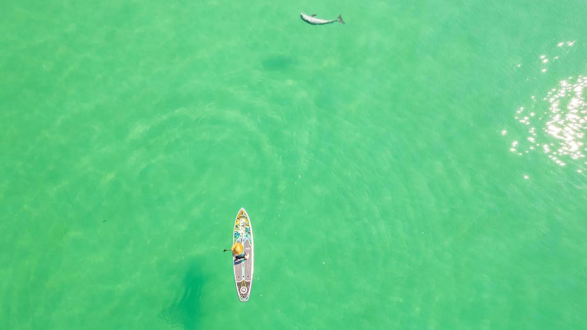Apartment Oceania 907- By Holiday Isle Properties Destin United States
