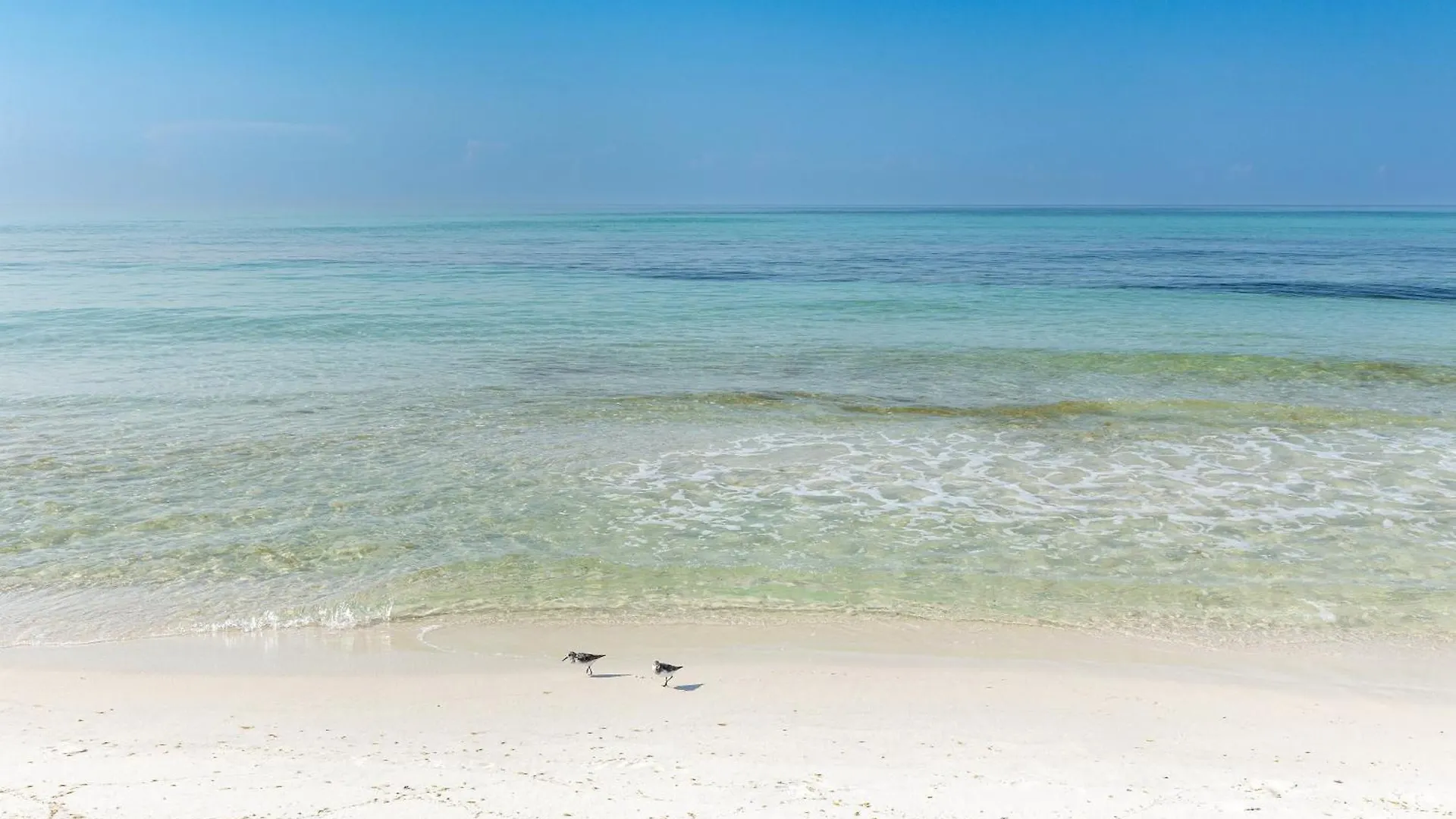 Oceania 907- By Holiday Isle Properties Destin